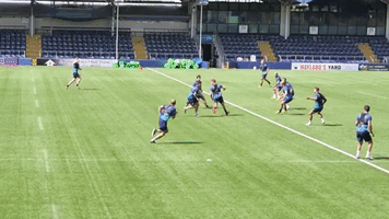 GIF by Worcester Warriors