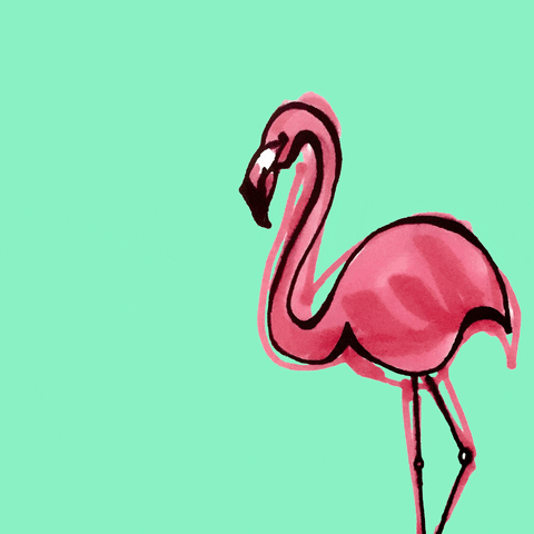 De roze Flamingo Dating-Website