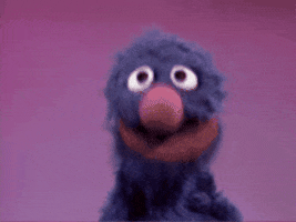 Sesame Street GIF