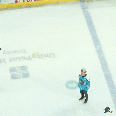 Celebrate Hockey Players GIF by Quad City Storm