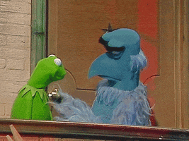 Kermit The Frog Reaction GIF by Muppet Wiki
