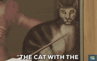 cat halloween GIF by ANTIQUES ROADSHOW | PBS