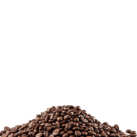 Tim Hortons Starbucks Sticker by Cafe Del Sol