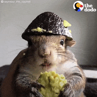 200.gif