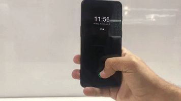 Animated GIF