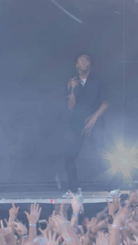 GIF by ACL Festival