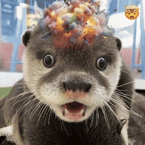 Otter GIF