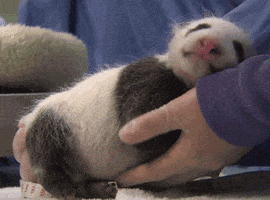200.gif?cid=f0bdee70ypuljey74y1sqojpm0qiveuglv7ipgg7wbkgk4ck&rid=200.gif&ct=g