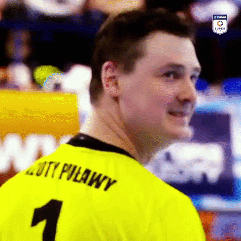 Azoty Pulawy Smile GIF by Superliga