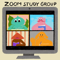 Zoom Study Group