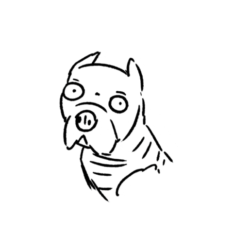 Suspicious Dog GIF by butpoorlydrawn