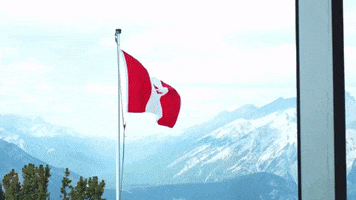 Sulphur Mountain Flag GIF by Chris