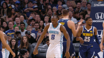 let's go nba GIF by Charlotte Hornets