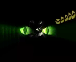 Ojodegato Obserbo GIF