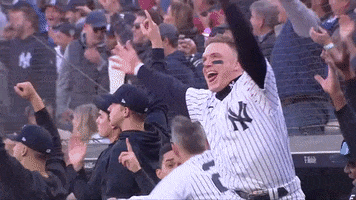 New York Yankees Yes GIF by MLB