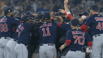 World Series Sport GIF by MLB
