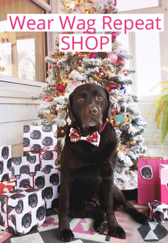 dog shopsmall GIF by Tori Mistick Wear Wag Repeat