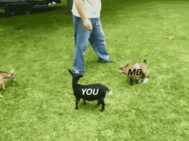 200.gif
