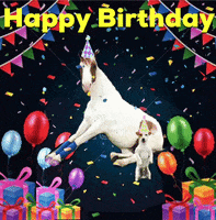Celebrate Happy Birthday GIF by Primapolo Productions