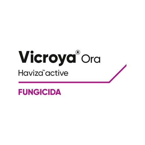 Vicroya Sticker by Cortevapy