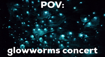 Concert Glowworm GIF