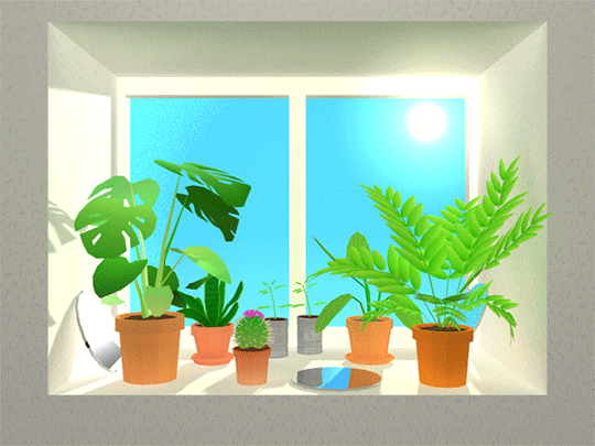 Find an Apt Spot for Plants 