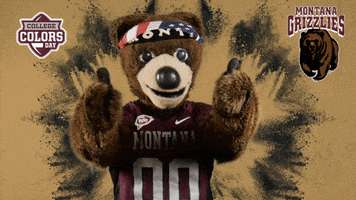 Happy College Sports GIF by College Colors Day