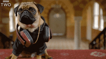 bbc two dog GIF by BBC