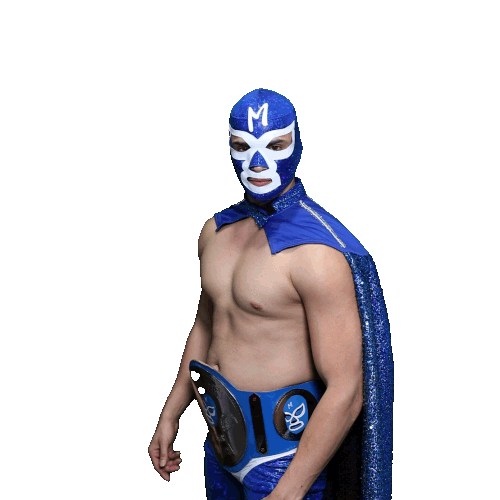 Maskadores Taco Shop Sticker