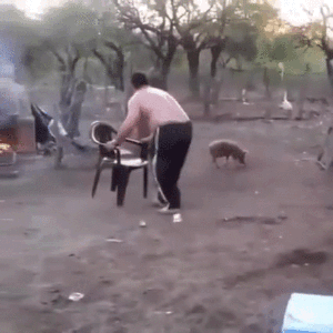 Engraã§Ado GIF