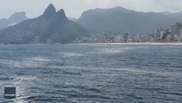 Pod of Orcas Surprise Beachgoers in Rio
