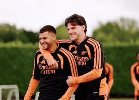 Arsenal 2026 GIF by memes