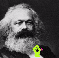 Karl Marx Deal With It GIF by Amy