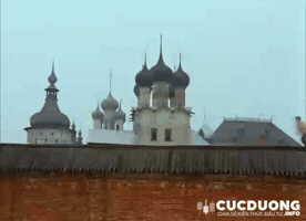 Bitcoin Funny Cucduong.Info GIF