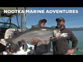 Fishing Resort GIF
