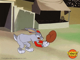 bugs bunny baseball GIF by Looney Tunes