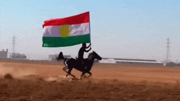 Horse Flag GIF