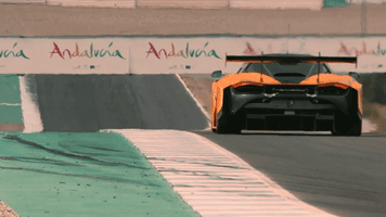 racing supercar GIF by McLaren Automotive