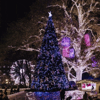 Merry Christmas GIF by ViennaTouristboard