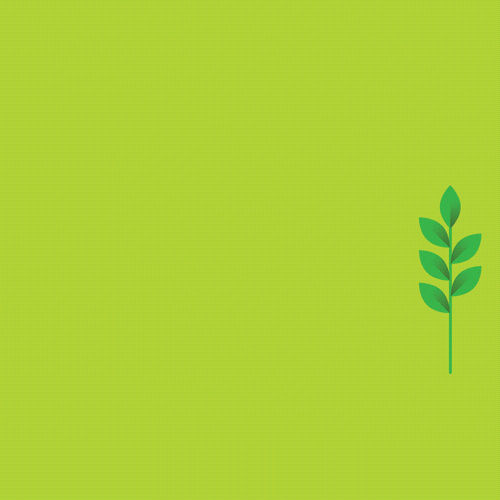 Tea Time GIF by BOH Tea Find & Share on GIPHY