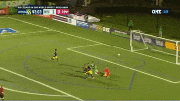 New York Cosmos GIF by ONE World Sports