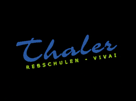 Thaler_Rebschule grapes sudtirol nursery alto adige GIF