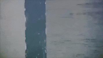 Memes GIF