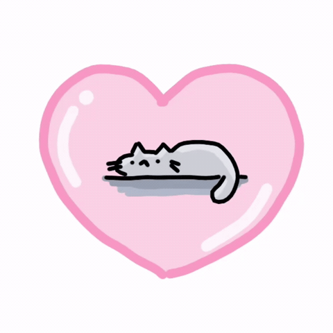 Love You Cat GIF
