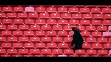 orange-belgium  GIF