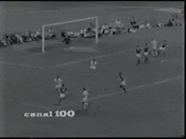 200.gif?cid=fc005b0872e93e966b75b96c34fd3e6f5a75d78da7a8ffc0&rid=200.gif&ct=g