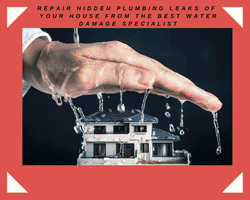 Water Damage Specialist GIF