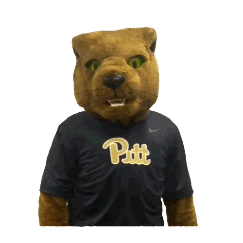College Sports Panthers Sticker by College Colors Day