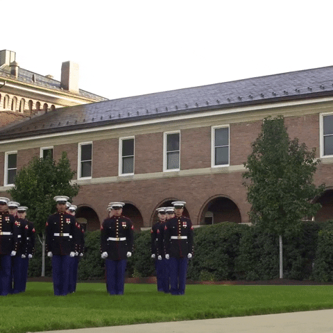 Marine Corps Birthday GIF by Storyful