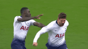 come on you spurs fernando llorente GIF by Tottenham Hotspur